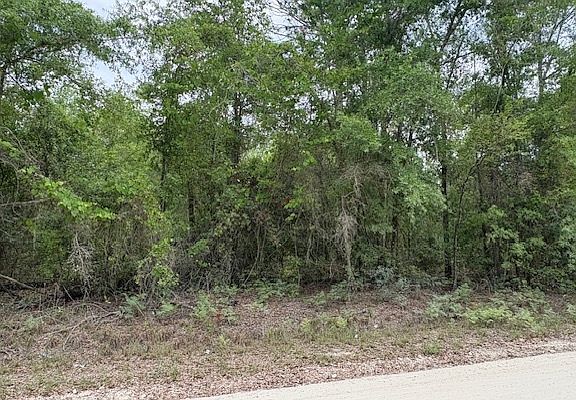 4th image of SW Southwest Daisy Rd