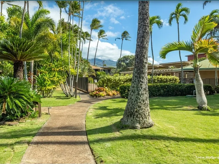 3559 Lower Honoapiilani Rd — Photo 29