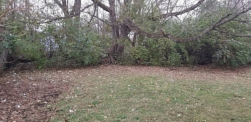2nd image of 811 Lilac Ave