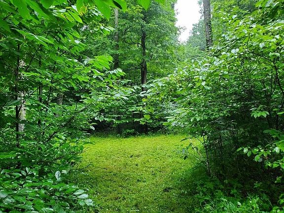 2nd image of 1922-1924 Hickory Ln