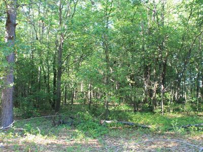 Woodward Dr, Aiken, SC, 29803