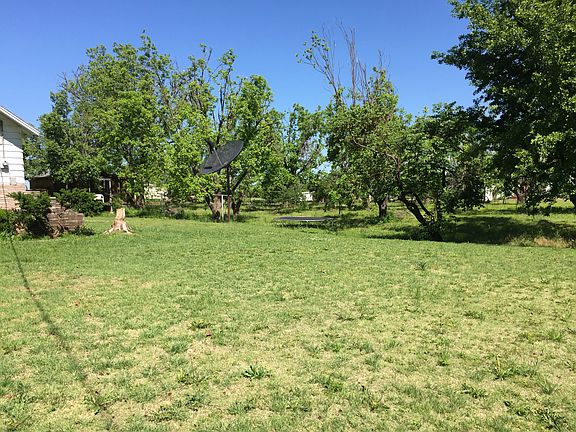 Pecan and fruit trees
