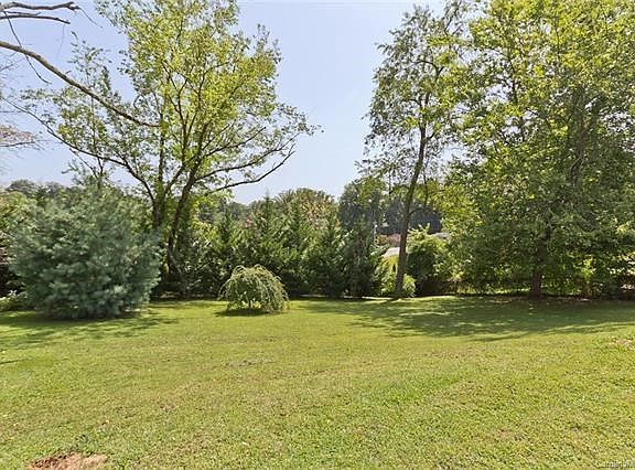 Spacious backyard green space