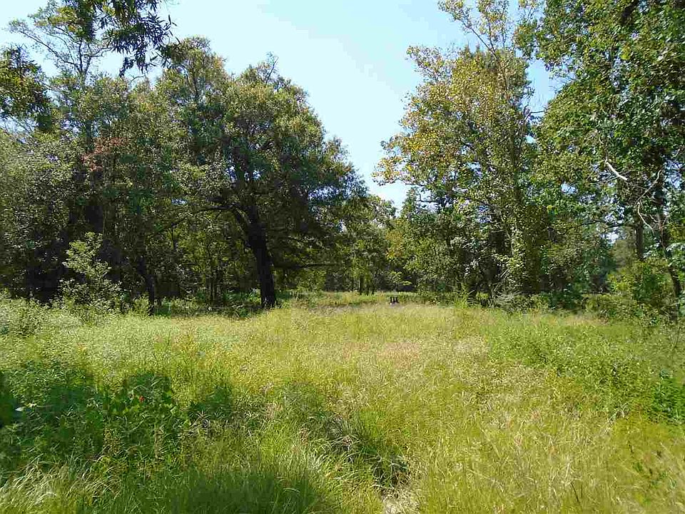 2nd image of 11933 Cooks Lake Rd