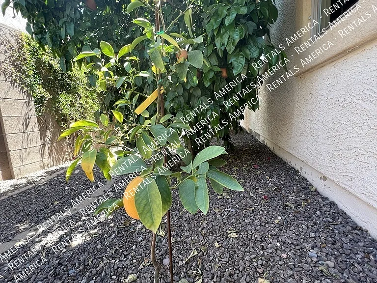 1536 E Fontana Dr — Photo 43