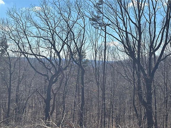 3rd image of 600 Chapman Ridge Ln