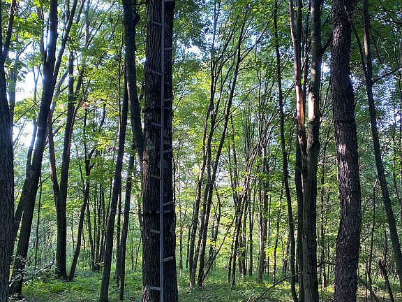 5th image of 296 Porterfield Hill Rd Lot Wp001