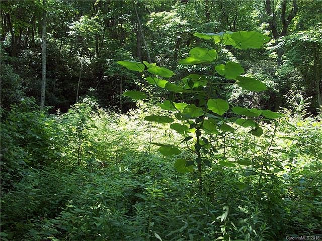 2nd image of 000 Heritage Mountain Pl