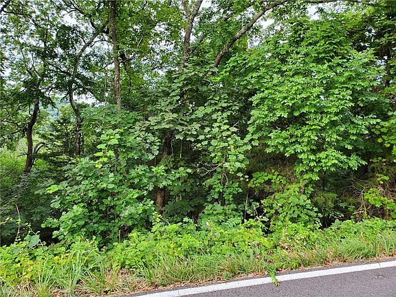 2nd image of 238 Stateline Dr #1