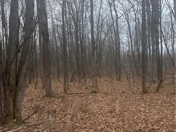 00 STH 27, Cadott, WI 54727