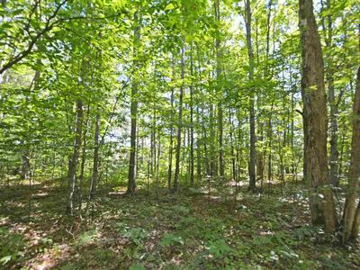0 Carter Creek Rd, Beulah, MI, 49617
