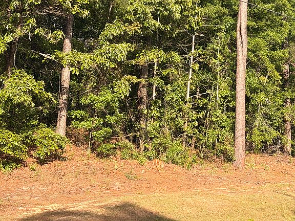 2nd image of 2943 Willis Foreman Road