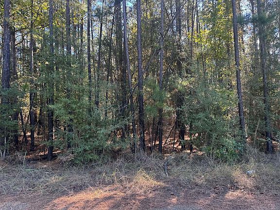 4th image of LOT 95 Private Road 6026