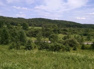 Bingham Collins Rd #24, Columbus, NY 13460