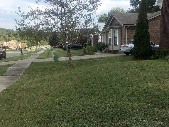 2nd image of 316 Babe Dr