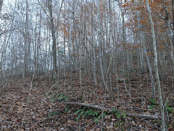 3rd image of Tbd Bristol Hwy