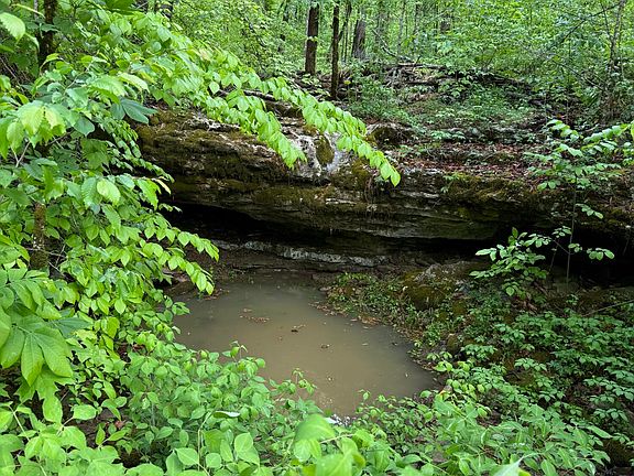 5th image of 217 Ralph Troxell Rd