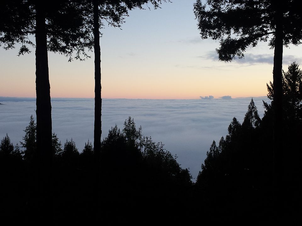 Above the fog