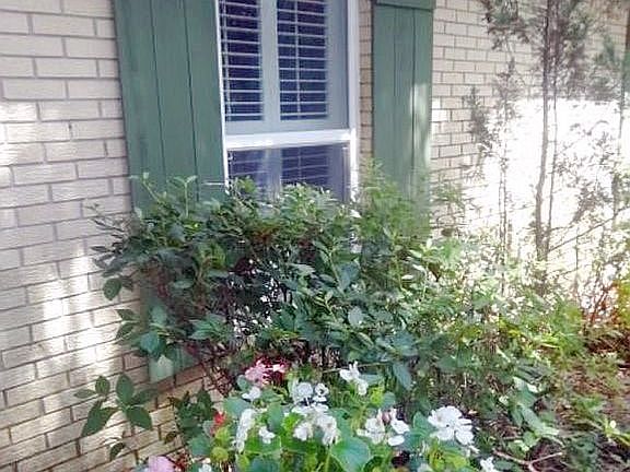 4th image of 111 Norwich Dr