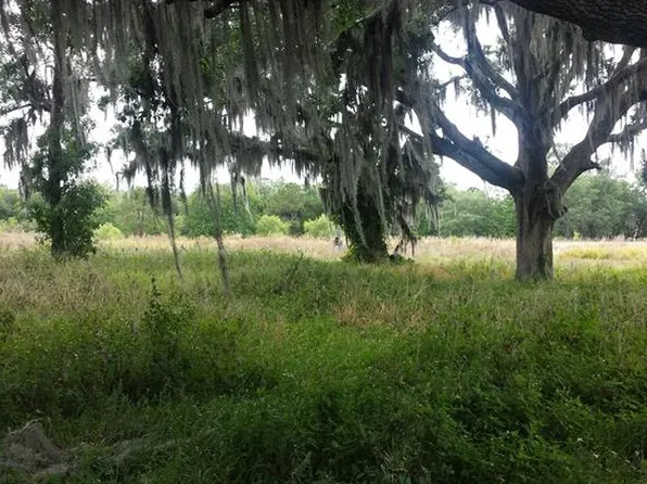 8132 Lithia Pinecrest Rd, Lithia, FL 33547