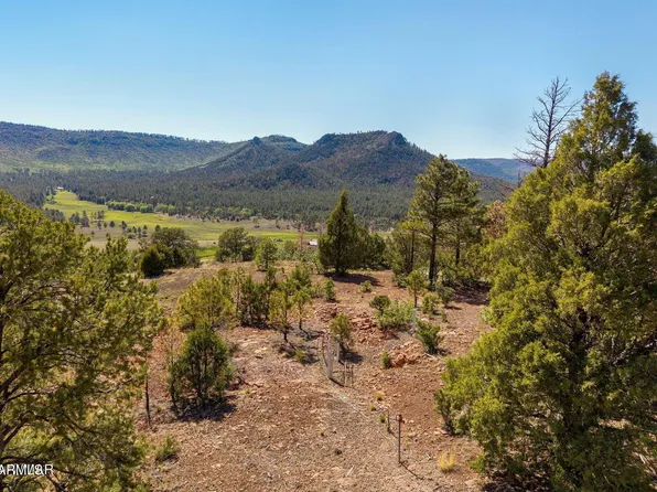 N2280 Noble Mountain Est -- #47, Nutrioso, AZ 85932