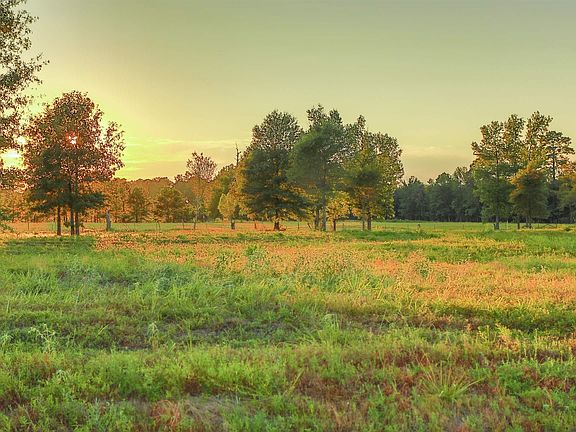 5th image of 168 Majestic Oaks