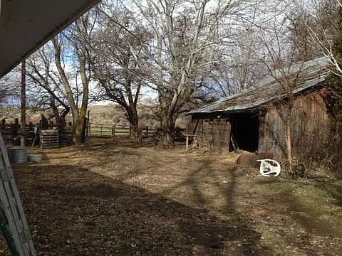 3 bed, 1100 sqft, $1,650 — Photo 3