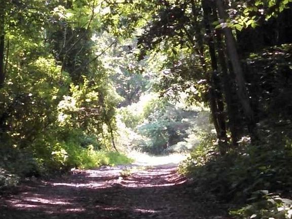 3rd image of 17 Crow Hill Ln