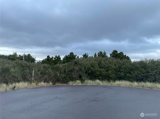 718 Reporter Pl SW, Ocean Shores, WA 98569