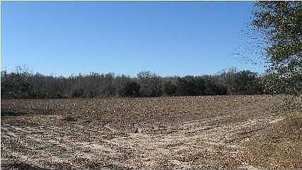 2nd image of 4431 Highway 2