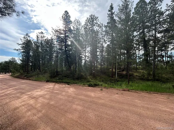 664 Calle De La Lluvia, Florissant, CO 80816
