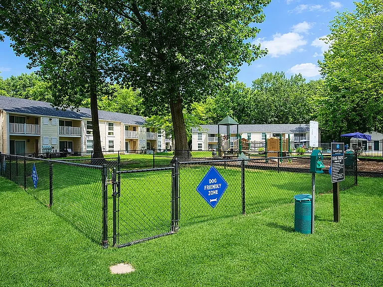 Dog park and playground in sunny setting