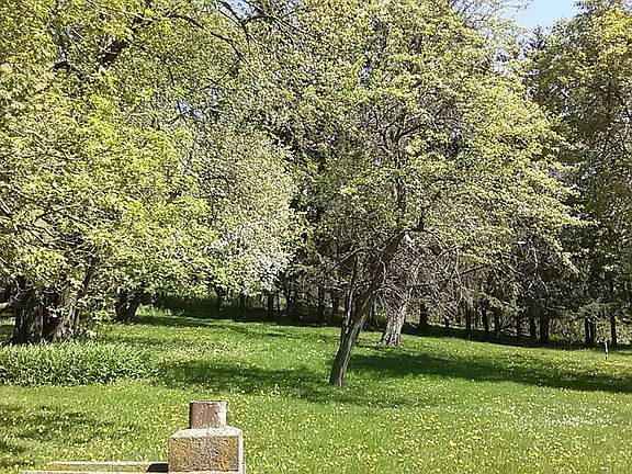 3rd image of W4439 Drumlin Dr