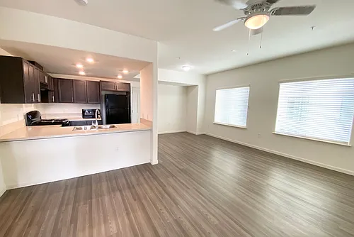 Brand New - Del Rio Apartments Photo 1