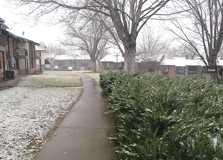 Orchard Gardens (OG) — Photo 4