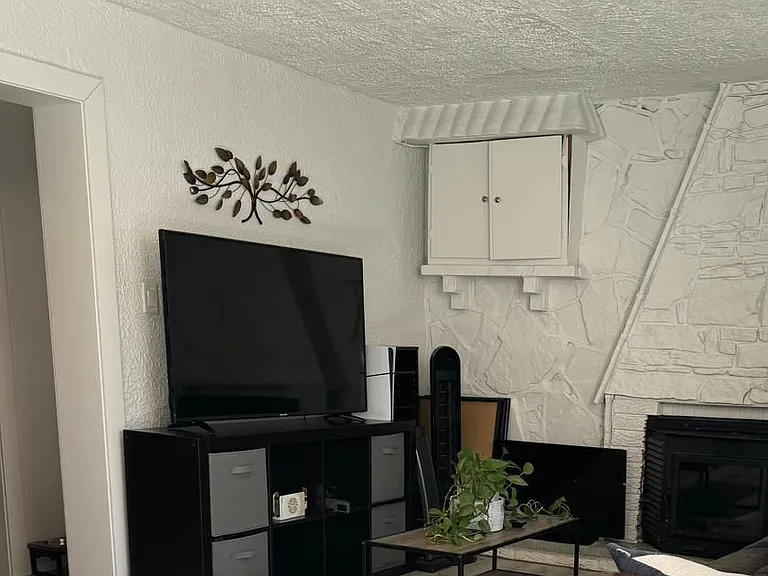 254 Hillside Dr #BASEMENT — Photo 10