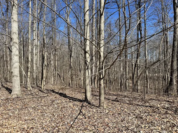 297 Tennis Center Dr Lot 297, Smithville, TN 37166