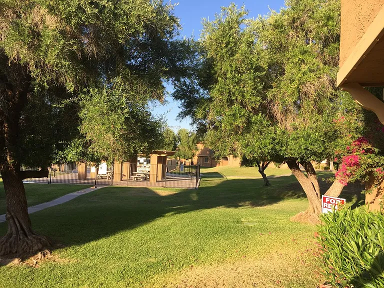 809 E Cochise Dr — Photo 3