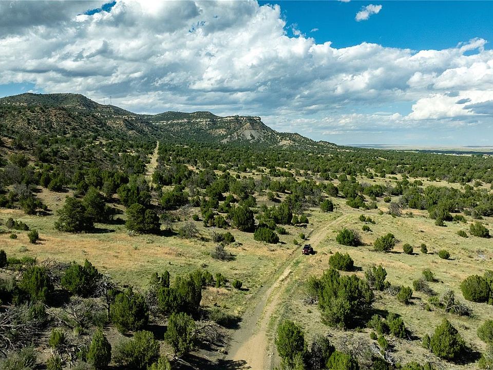 J. Torrents Lladó Trinidad Campins II J. Torrents Lladó Trinidad Campins II