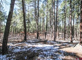 318 Valley View Dr, Bayfield, CO 81122