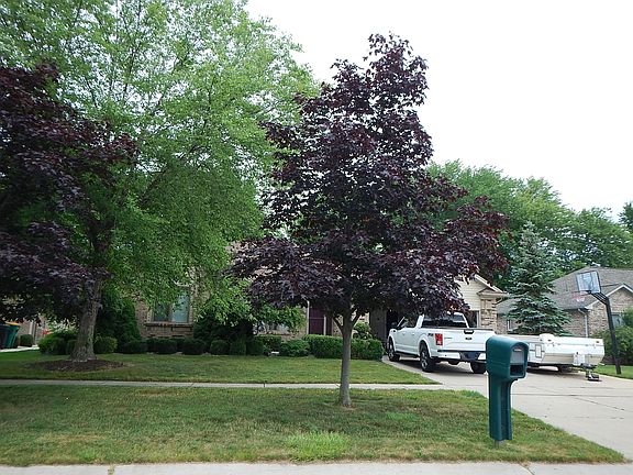 3rd image of 35389 Saint Clair Dr