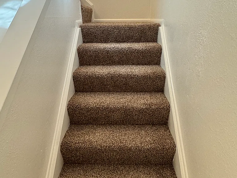 New carpet.