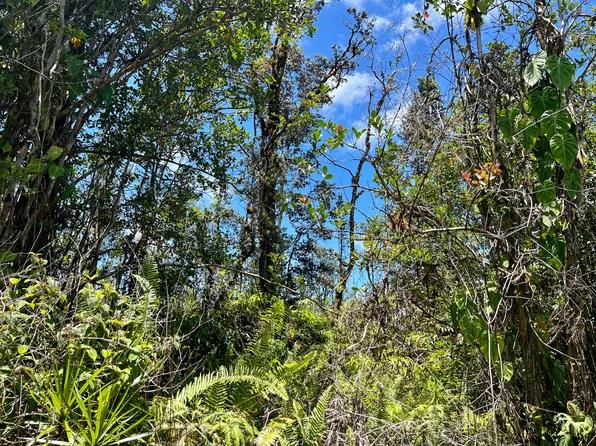 Road 3 Hopue #3345, Kurtistown, HI 96760