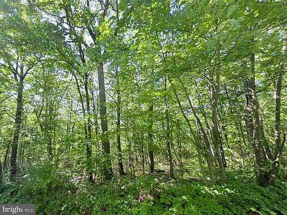 3rd image of 0 Weaver Woods Rd