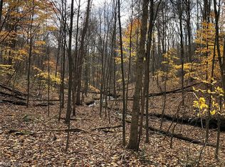 263 Township Rd, Bergholz, OH 43908