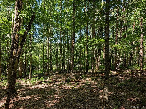 4th image of 5499 Bryant Hill Rd Lot 40