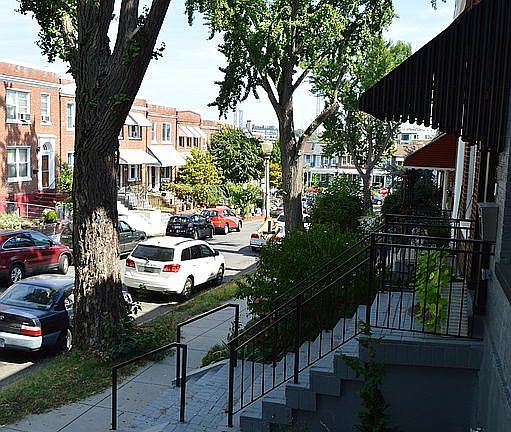 Tree lined street