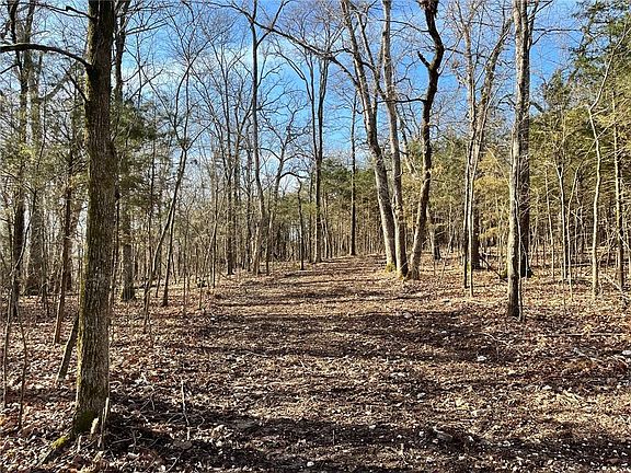 2nd image of 98 County Road 4502
