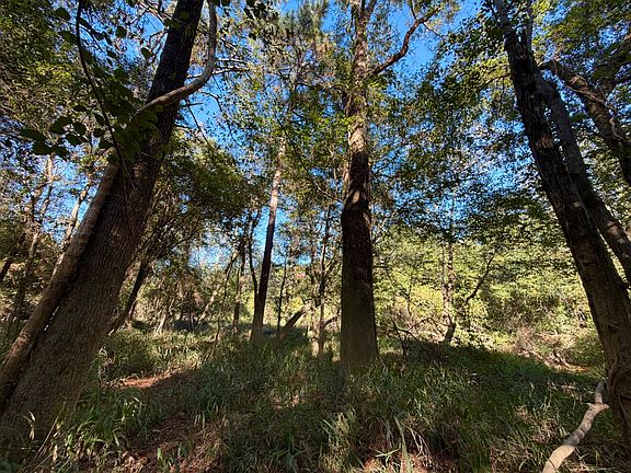 2nd image of 0 Three Rivers Rd Tract C