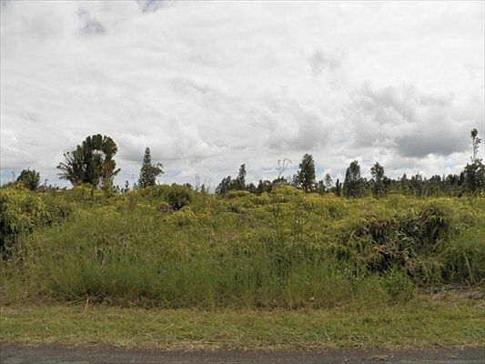 3rd image of Plumeria St Lot 6467